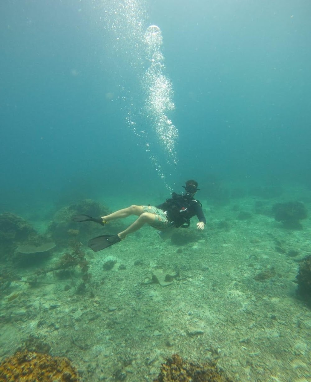 Mojo Divers