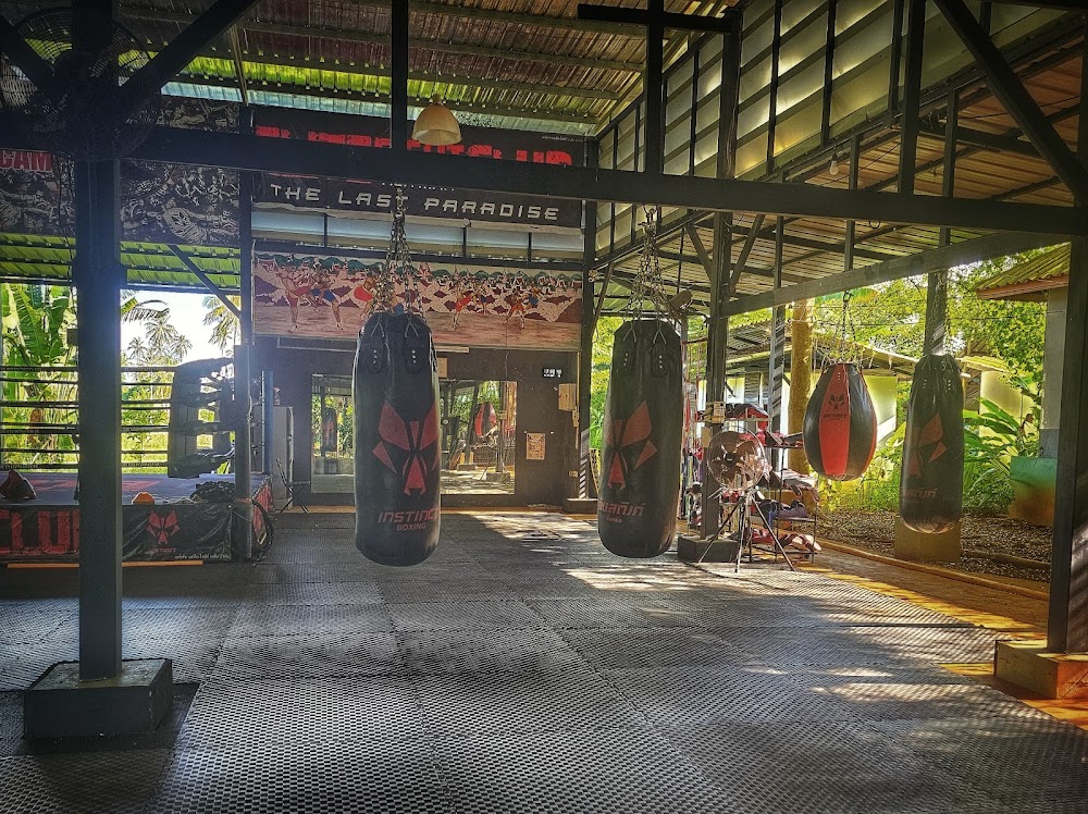 Muay Thai Koh Mak Gym The Phoenix Arises