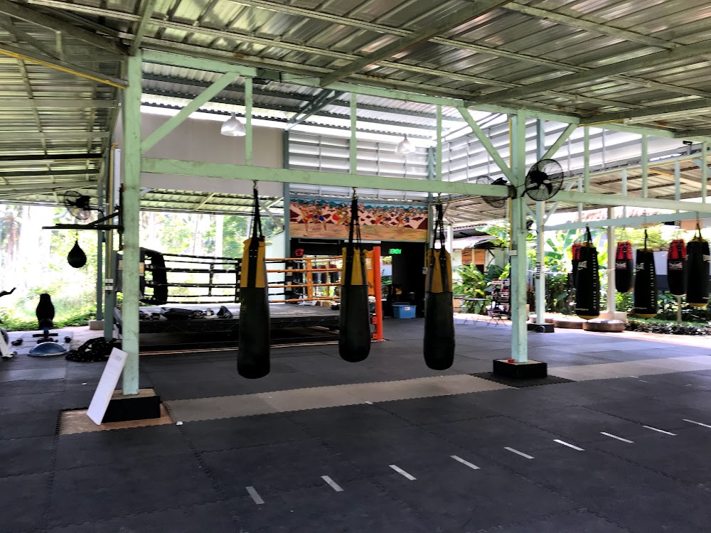 Muay Thai Koh Mak Gym The Phoenix Arises