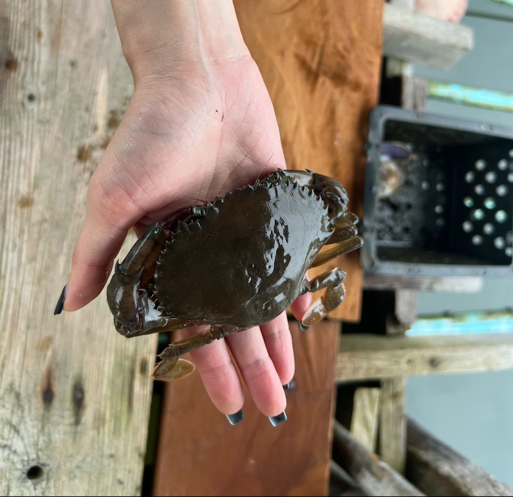 Nara Crab Nim Farm
