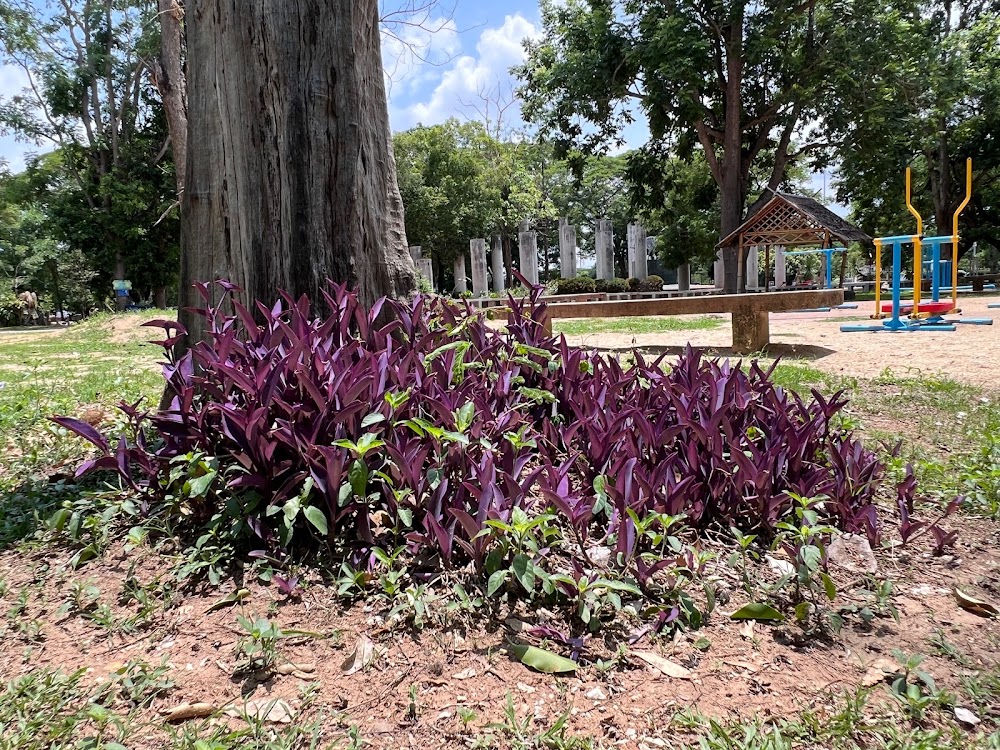 Nhong Krathing Park