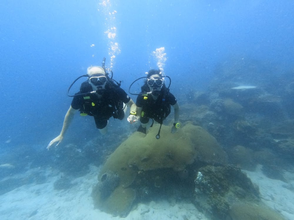 Oceanus Diving Centre