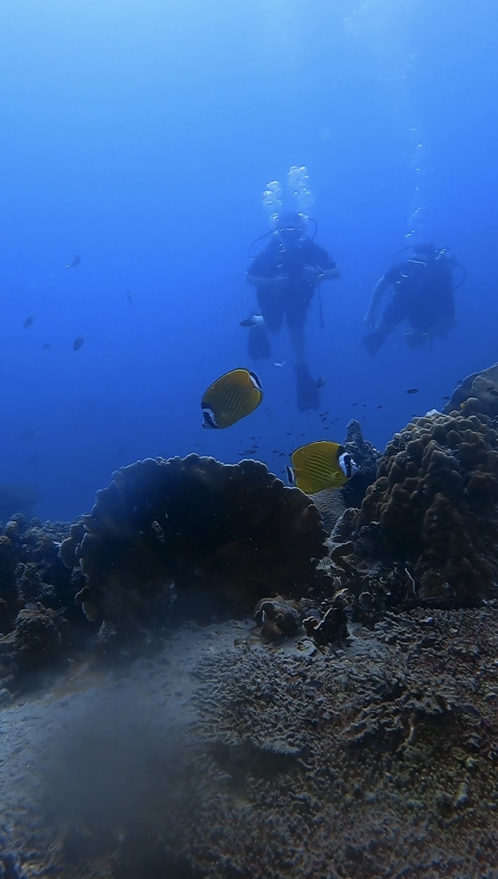 Oceanus Diving Centre