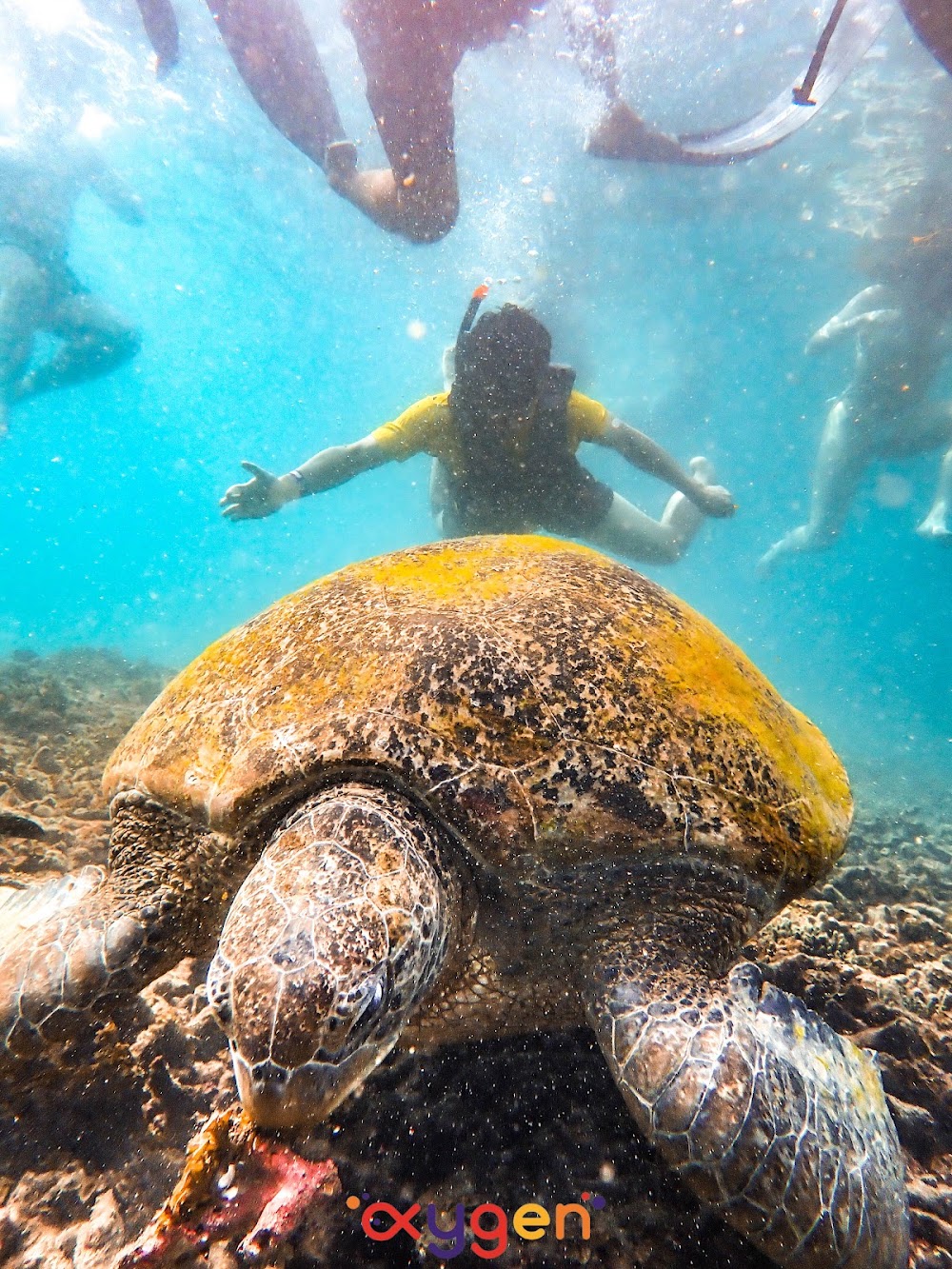 Oxygen Tour Koh Tao