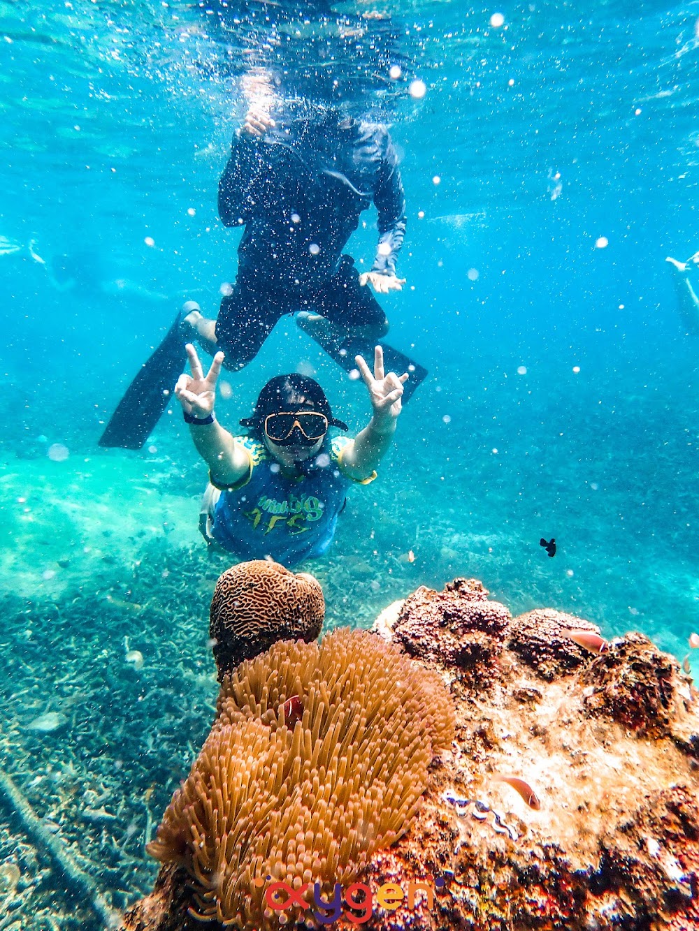 Oxygen Tour Koh Tao