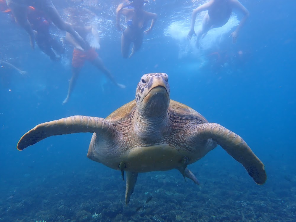 Oxygen Tour Koh Tao
