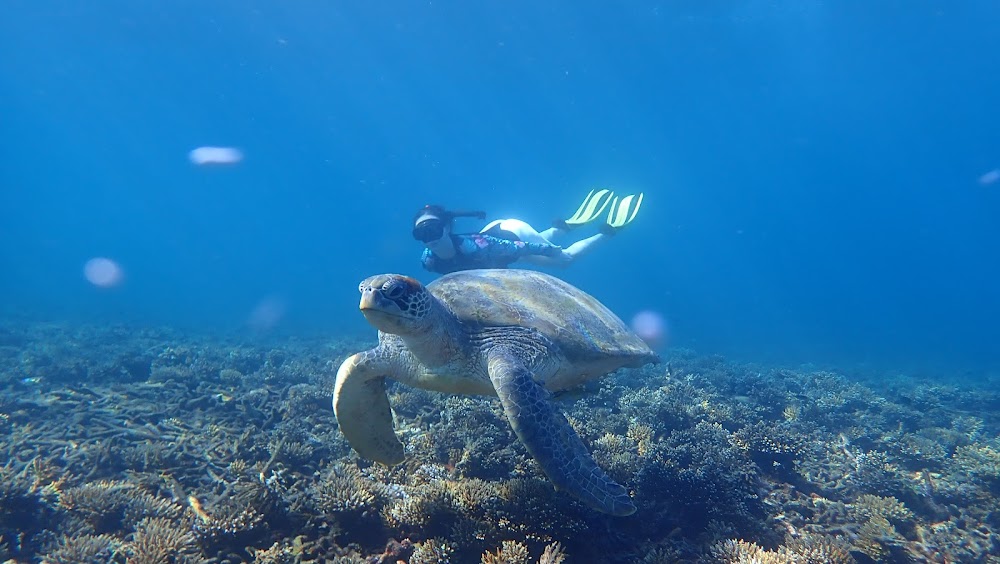 Oxygen Tour Koh Tao