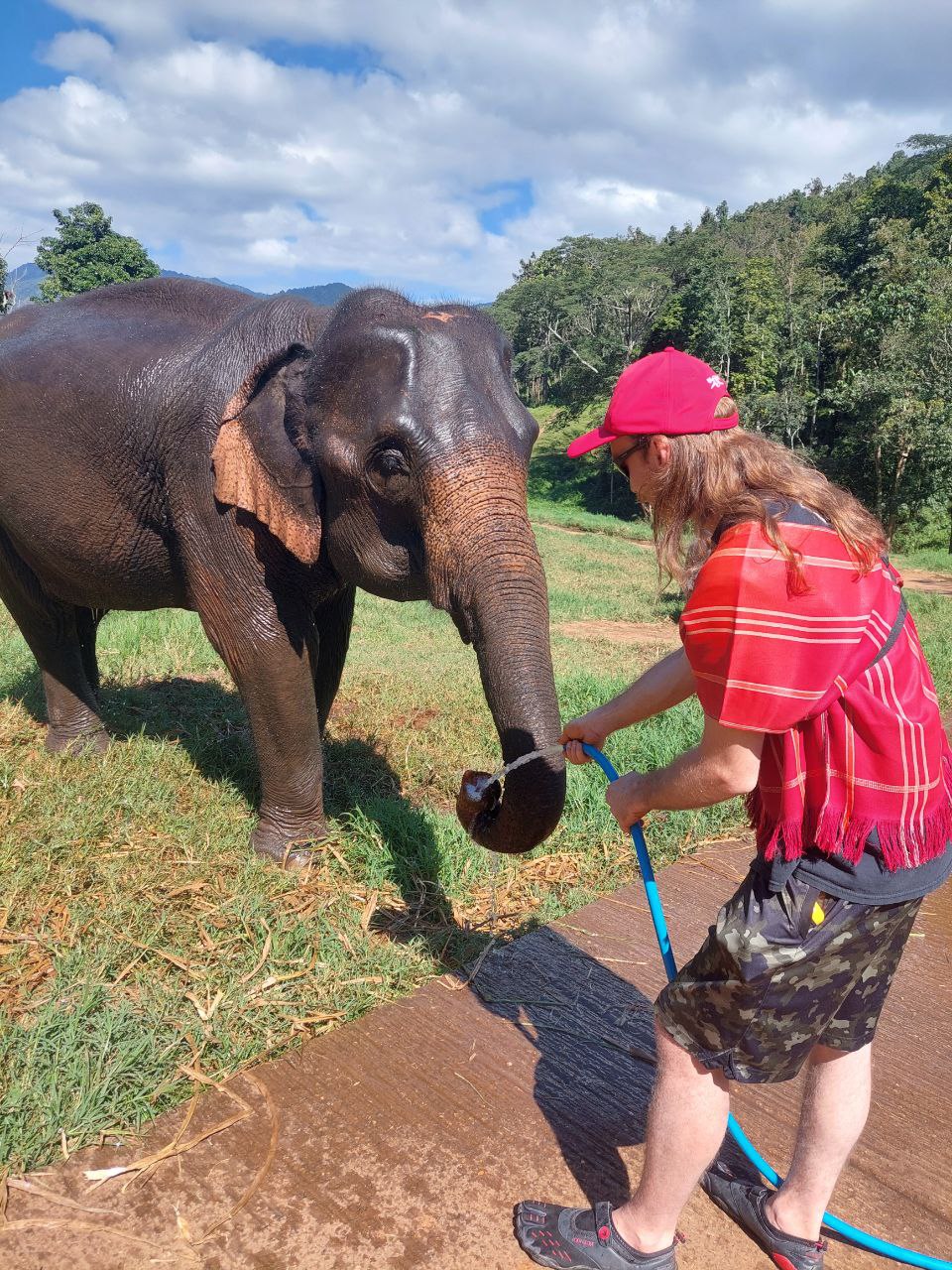 Patara Elephant Farm – Private Tours