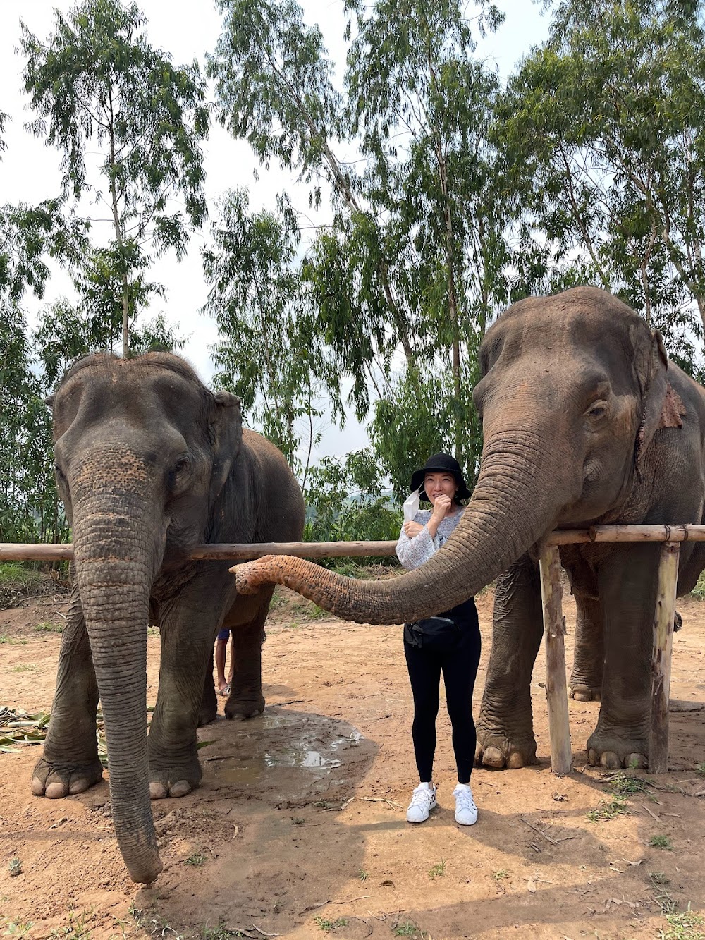 Pattaya Elephant Sanctuary