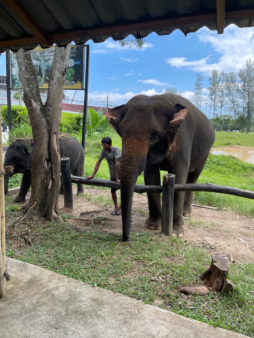 Phuket Eco Elephant Park