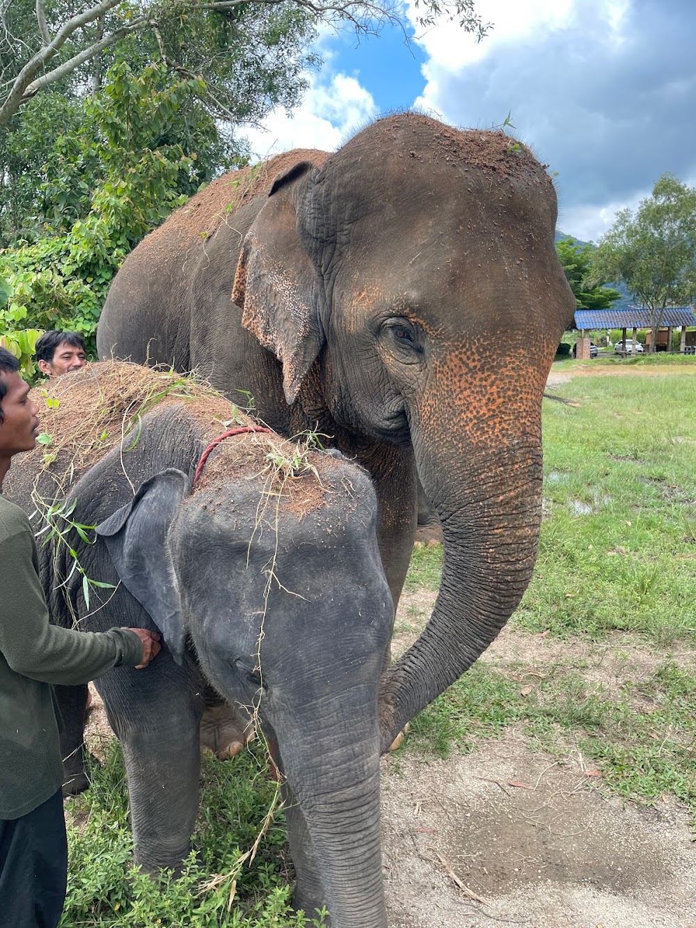 Phuket Eco Elephant Park