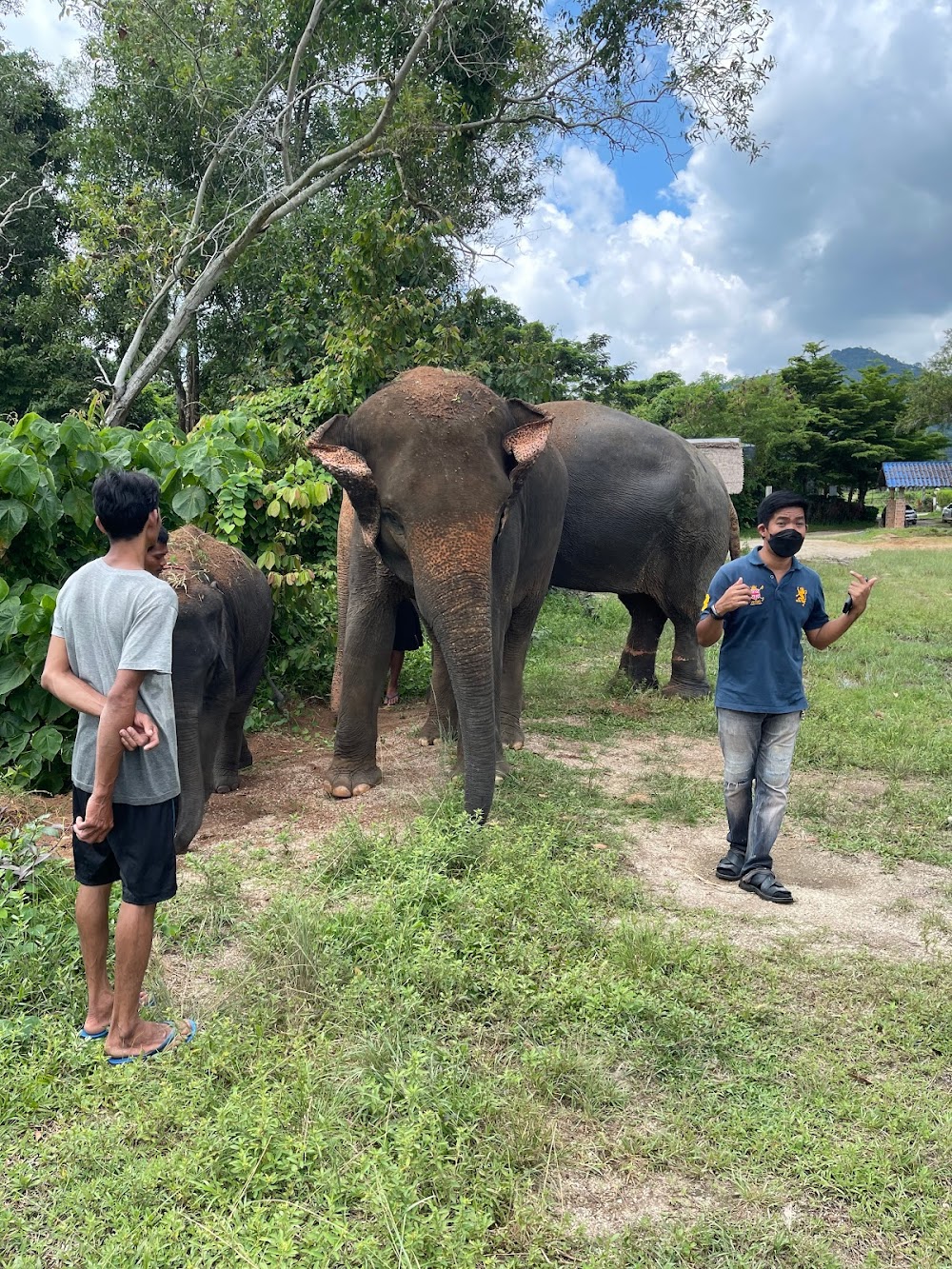 Phuket Eco Elephant Park