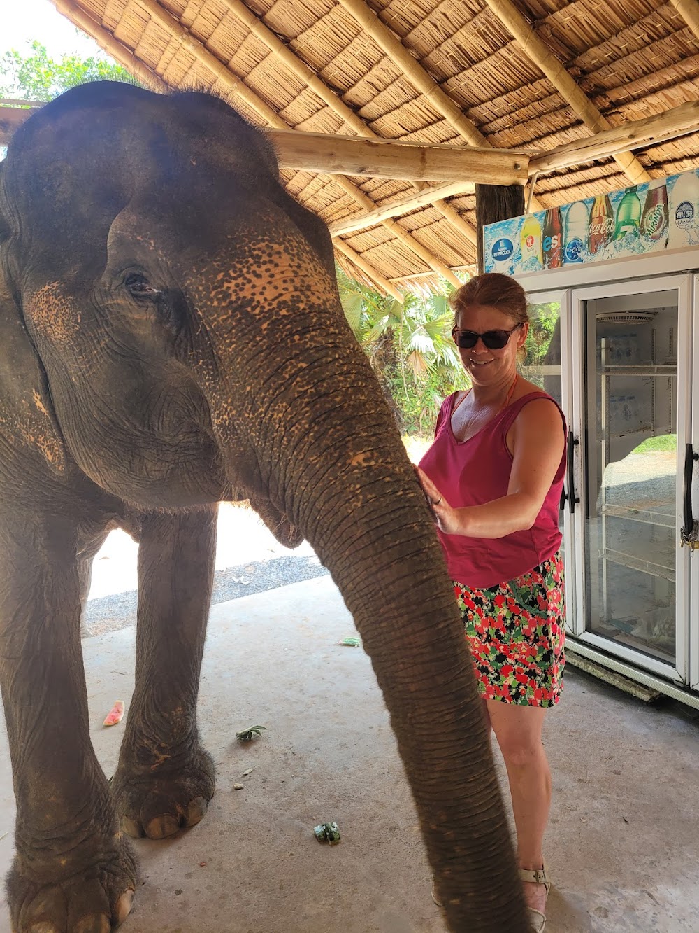 Phuket Elephant House Sanctuary