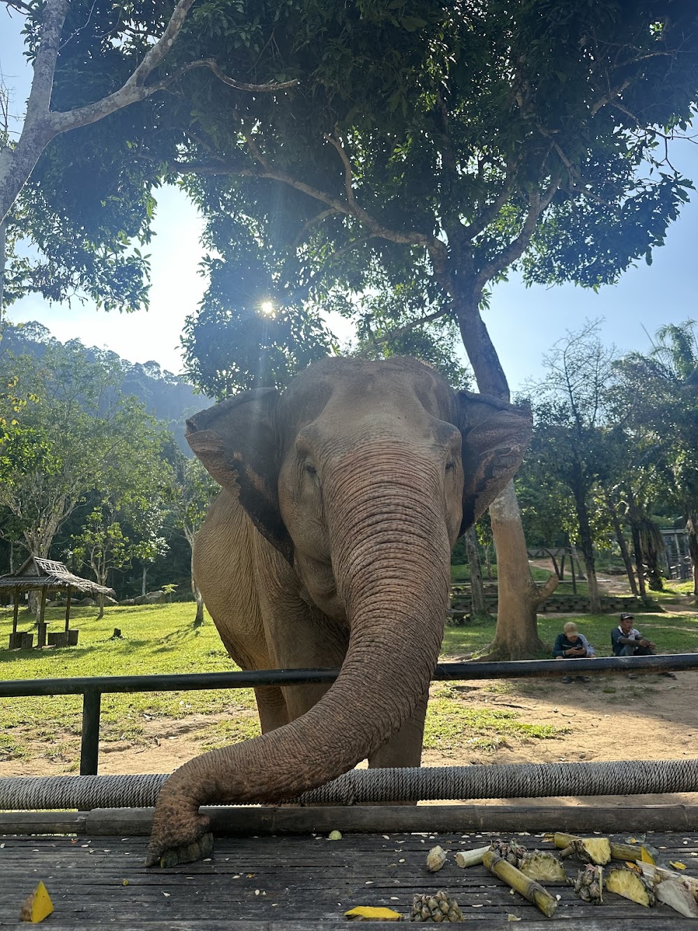 Phuket Elephant Nature Reserve