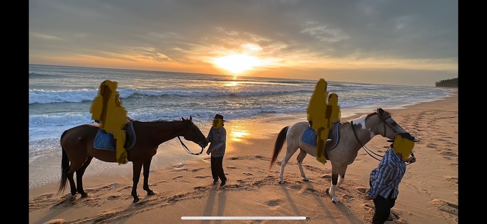 Phuket Horseback Riding