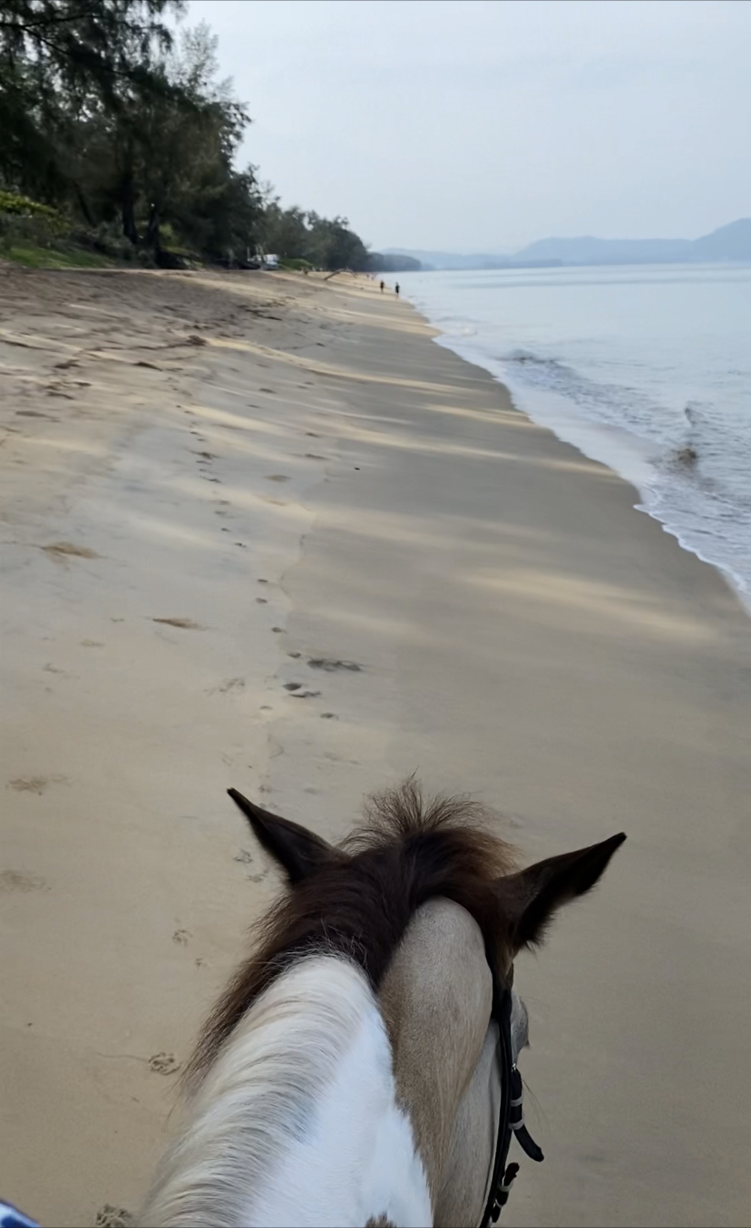 Phuket Horseback Riding