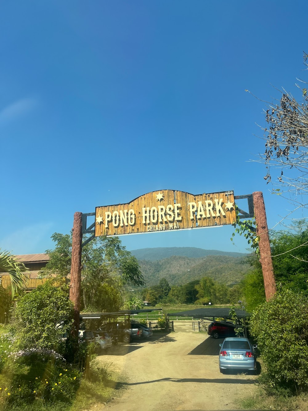 Pong Horse Park