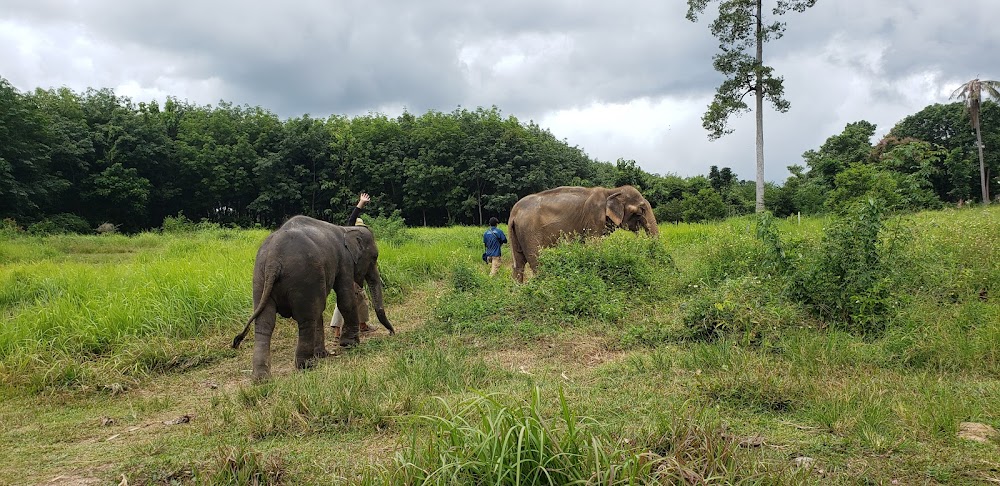 Samui Elephant Home