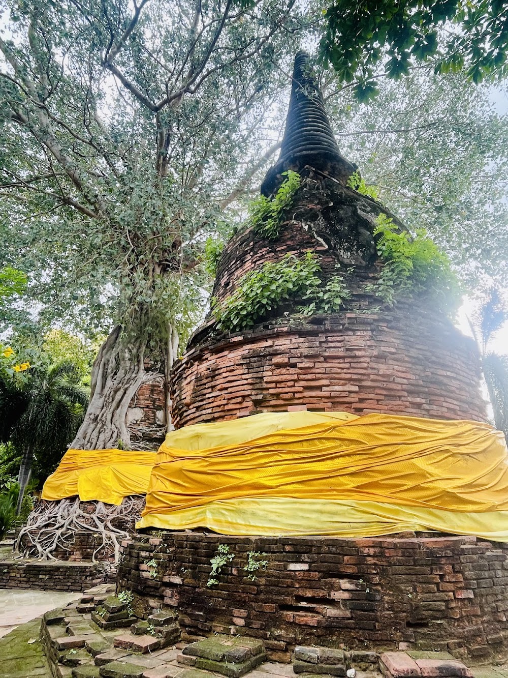 Sawasdee Ayutthaya