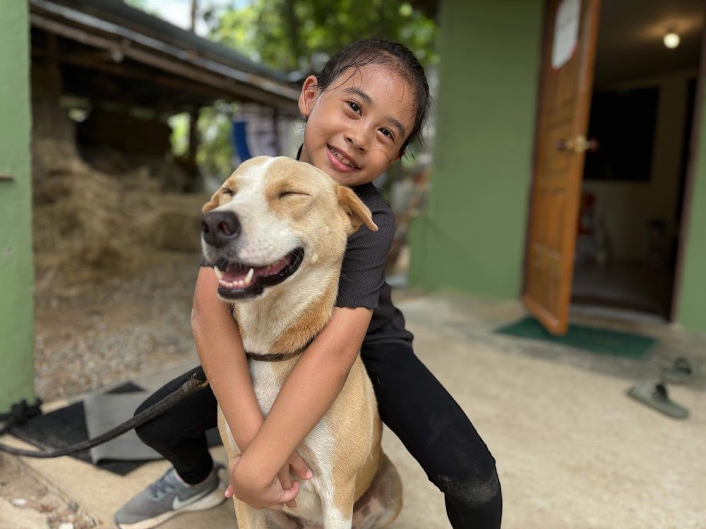 Second Wind Ranch and Rescue