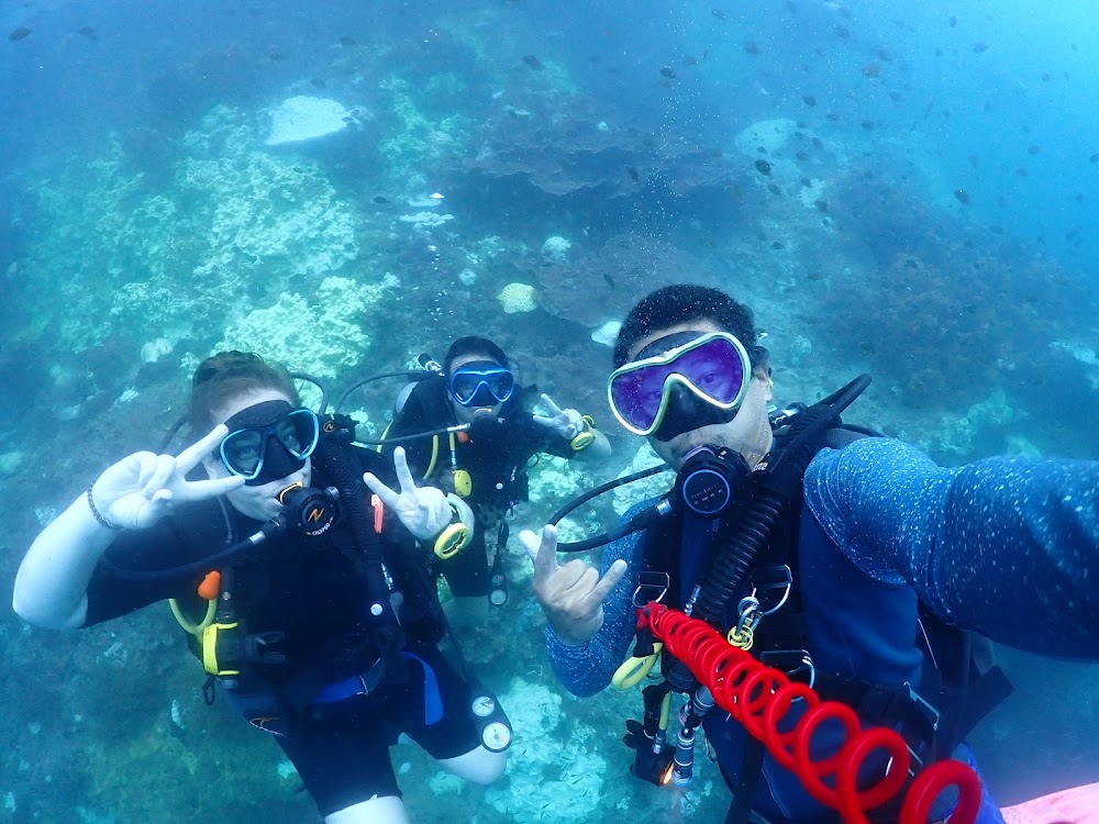 Sharkey Scuba