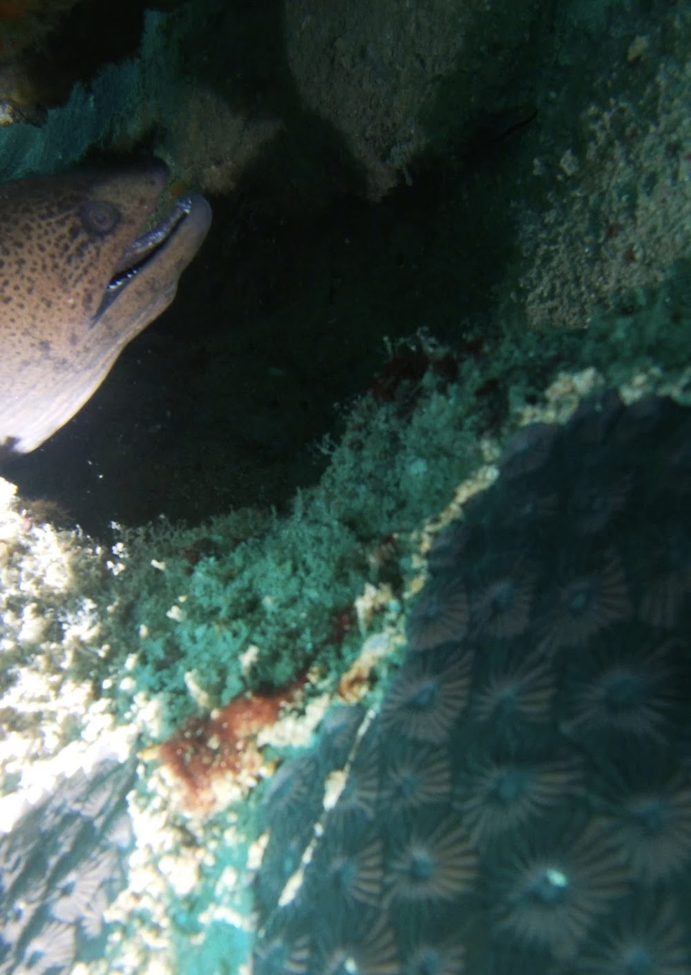 Similan Scuba Koh Yao Noi