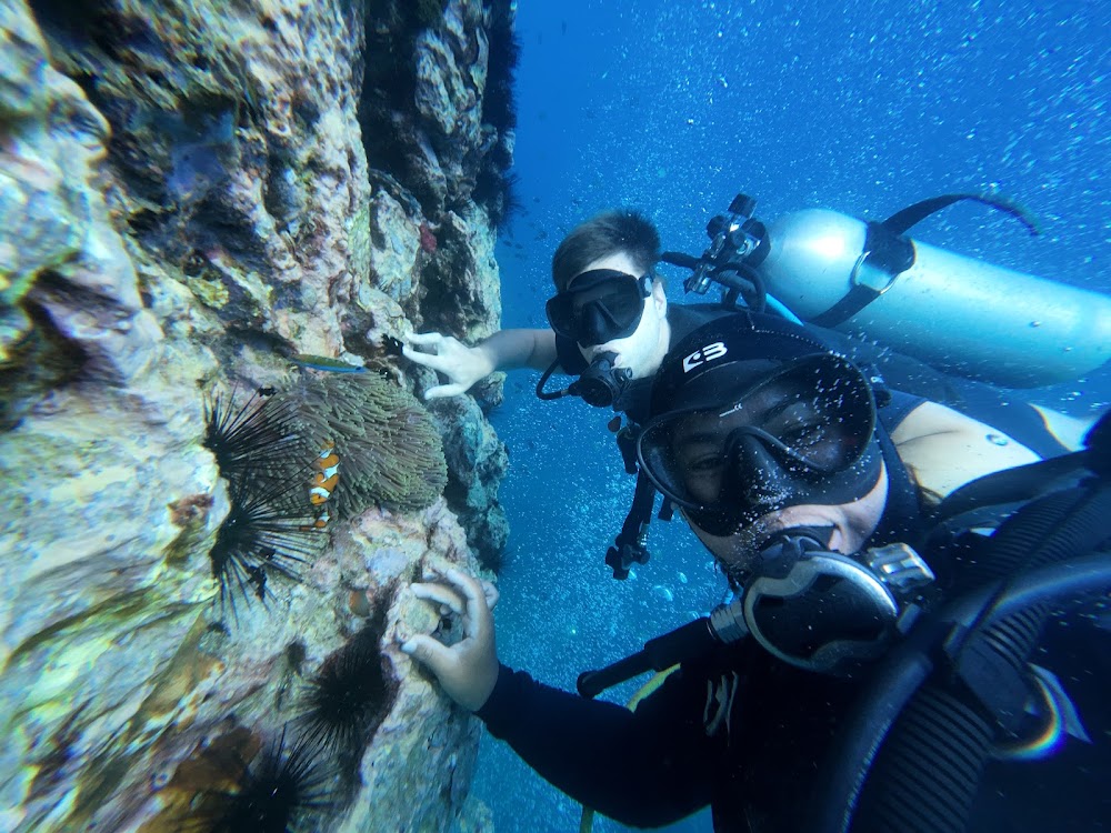 SNORKELING TOUR