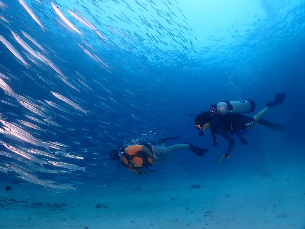 SNORKELING TOUR