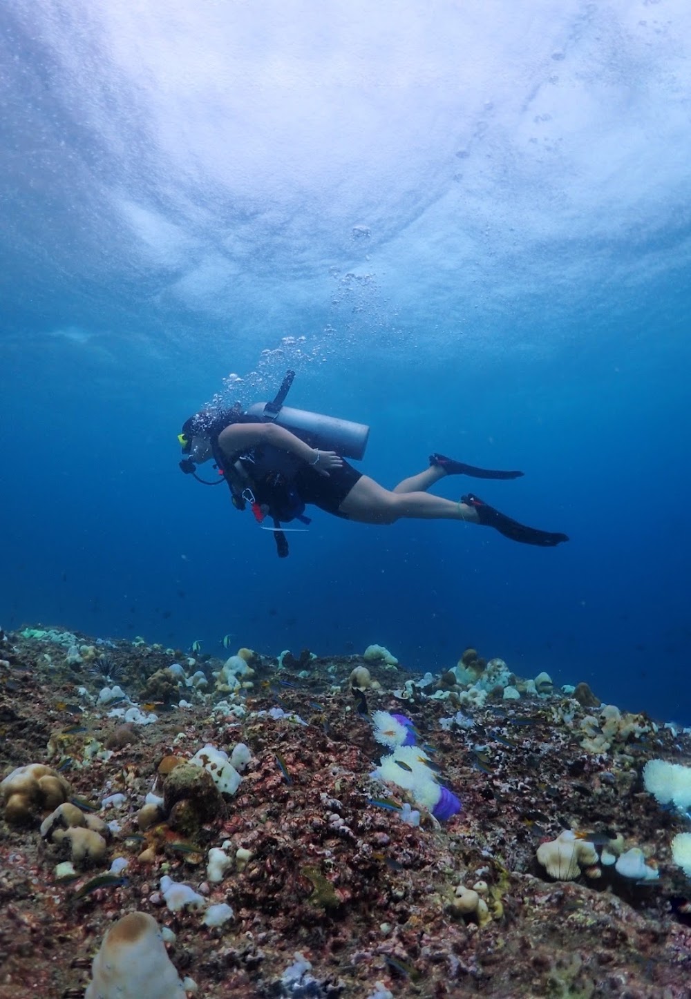 SNORKELING TOUR