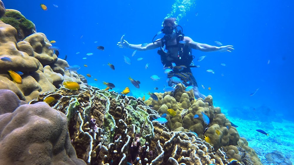 SSS Phuket Dive Freedive & Surf Center