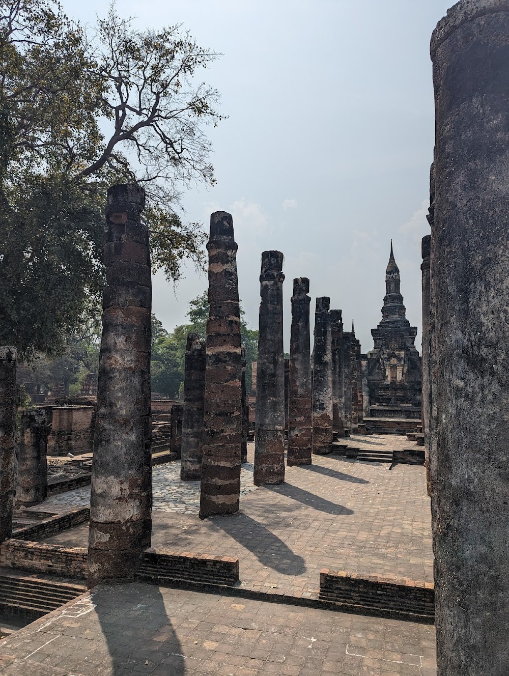 Sukhothai Bicycle Tour