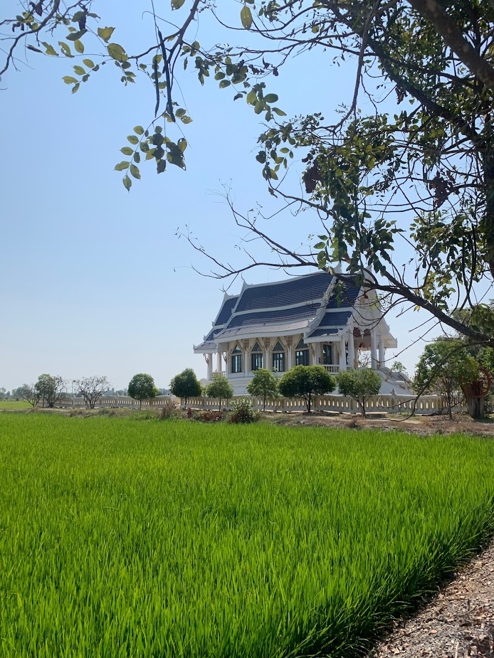 Sukhothai Bicycle Tour