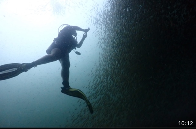 Super Divers