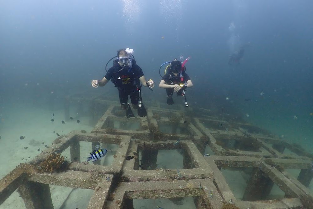Super Divers