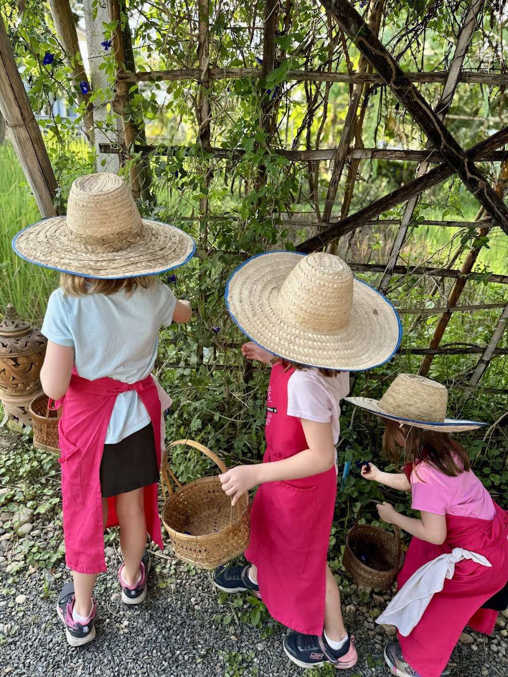 The Best Thai Cooking Course