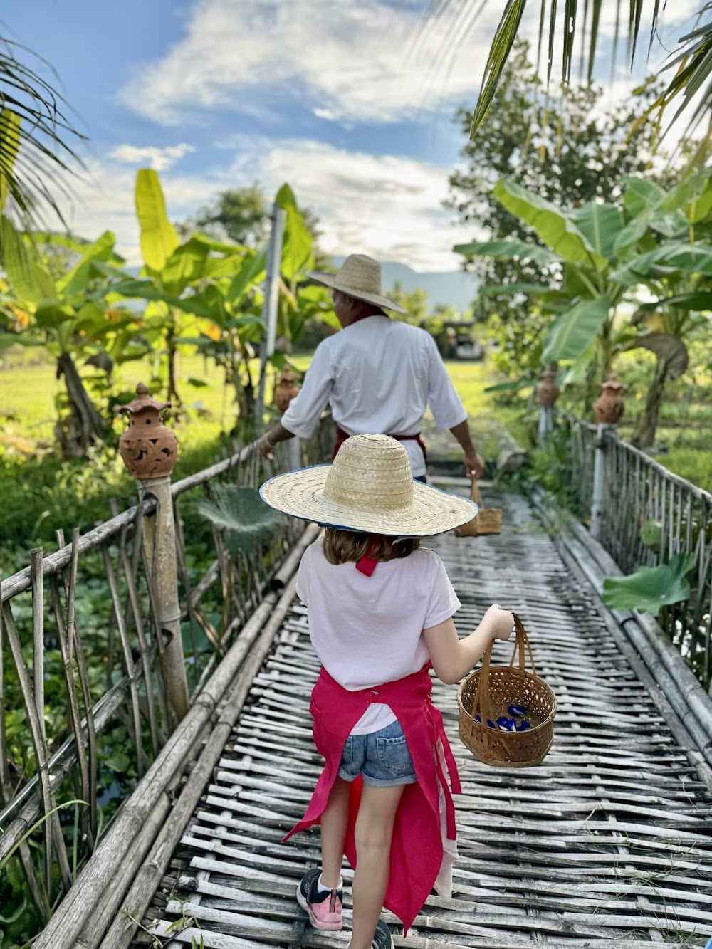 The Best Thai Cooking Course