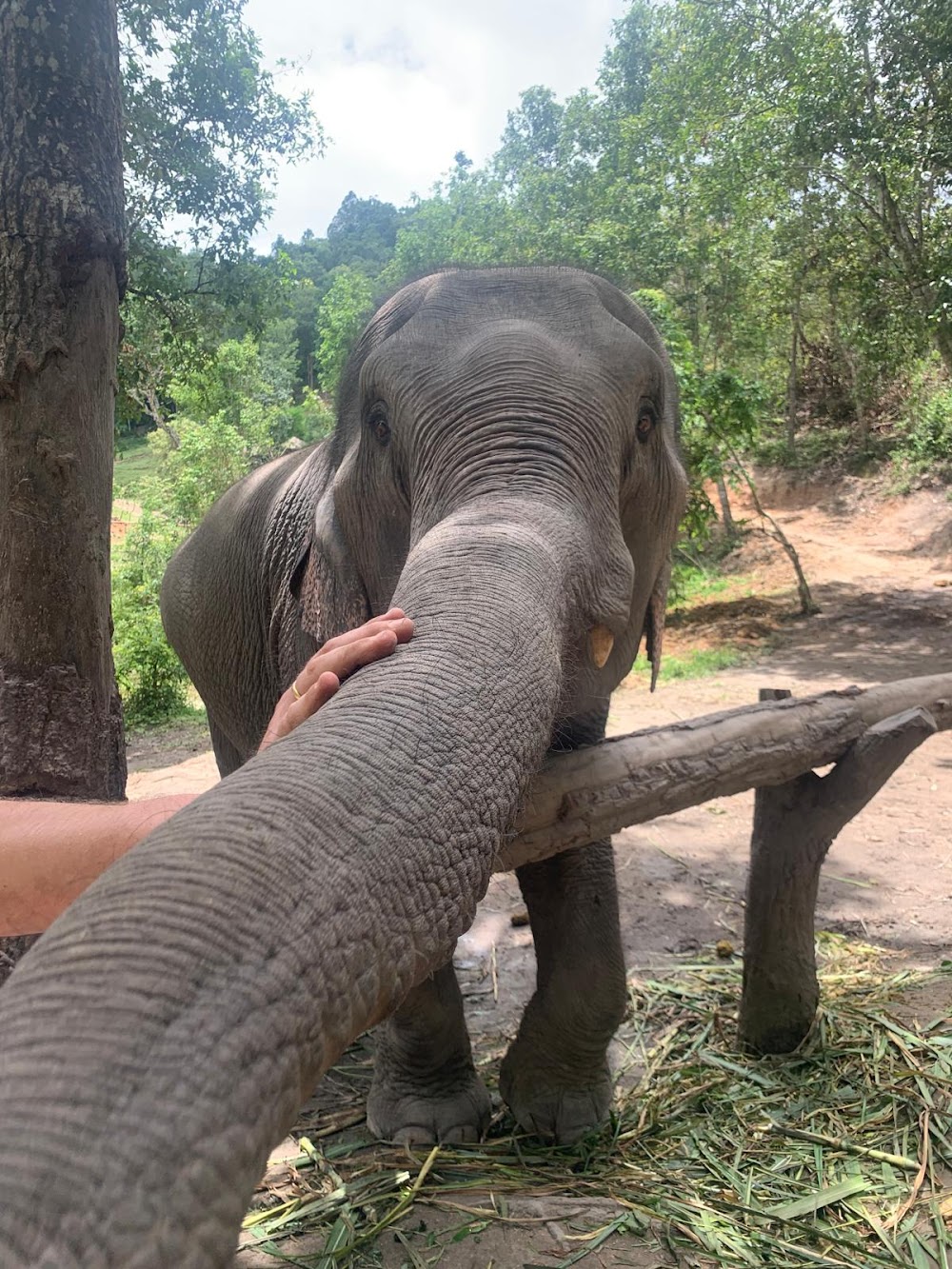 The Chiang mai Experience travel