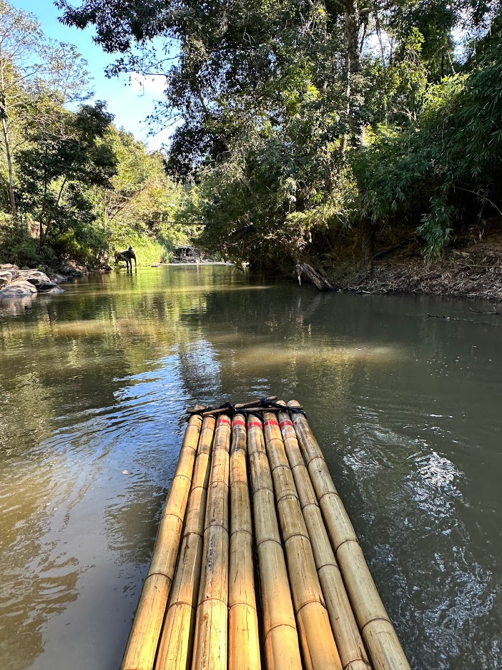 The Chiang mai Experience travel