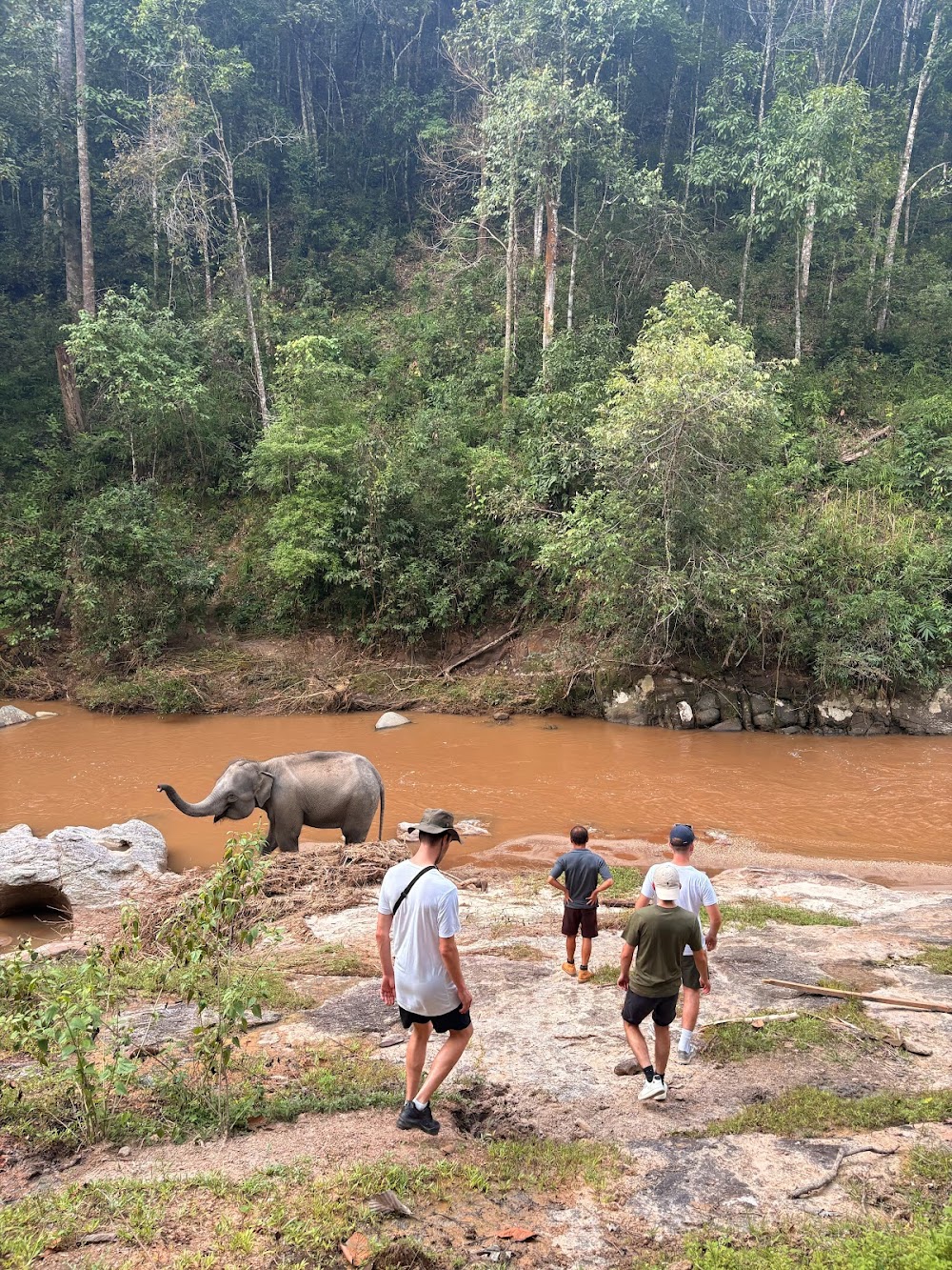 The Chiangmai T.U.M Travel – Elephant Trekking Care