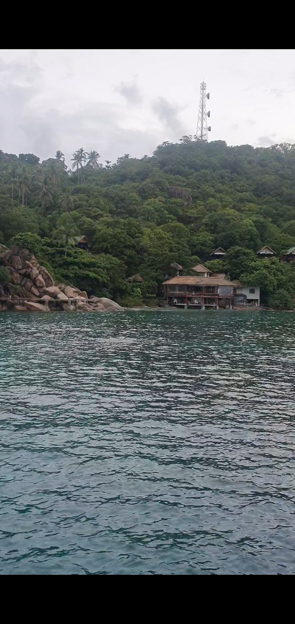The Dive Academy