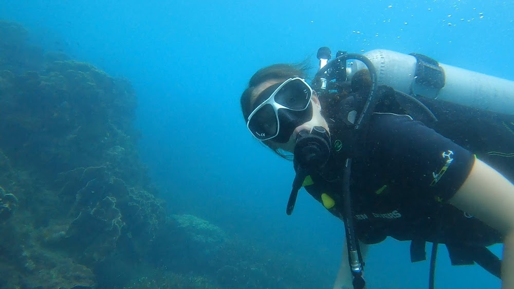 The Dive Academy