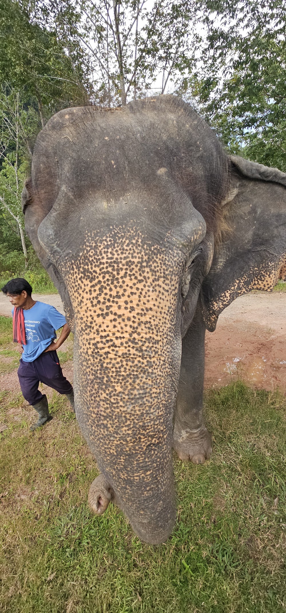 The Elephant Sanctuary Krabi Thailand