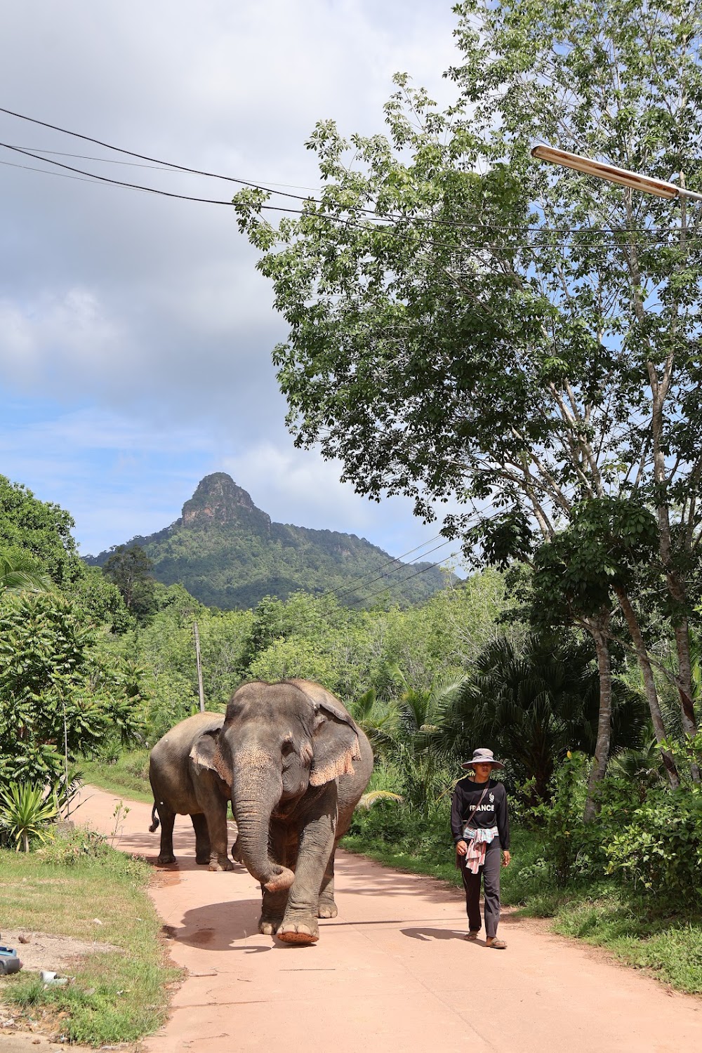 The Elephant Sanctuary Krabi Thailand