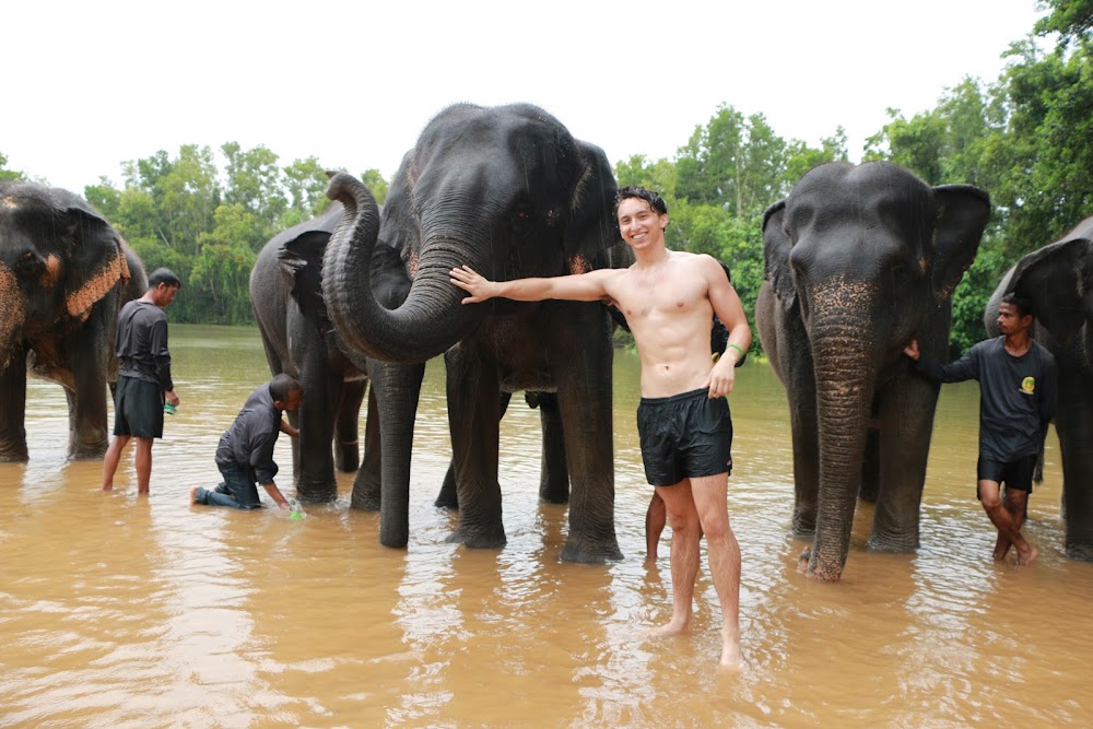 The Lake Phuket Elephant Home