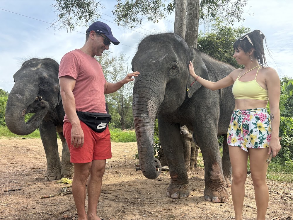 The Lake Phuket Elephant Home