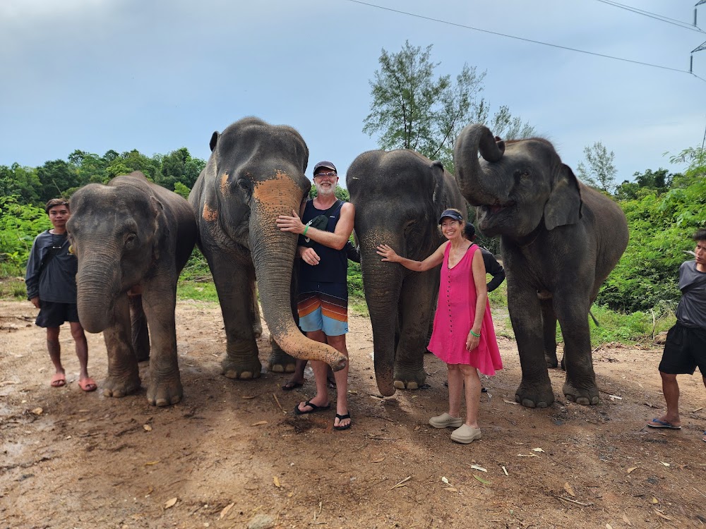 The Lake Phuket Elephant Home