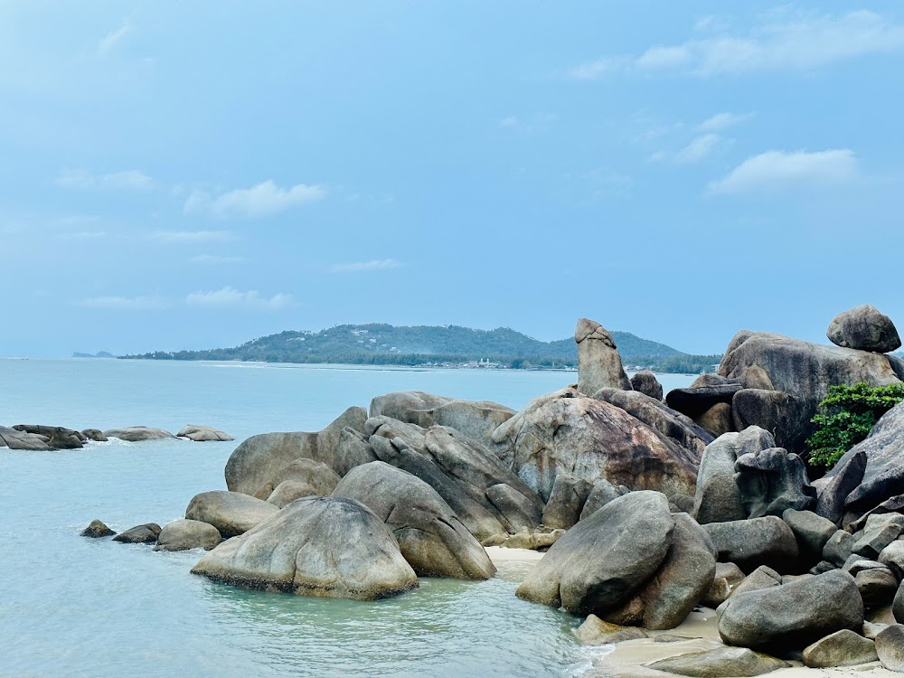 The Rock Bar