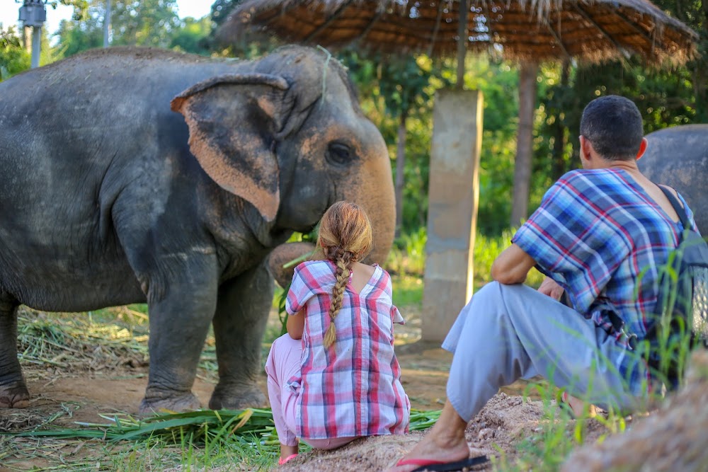 Thong Elephant Sanctuary Chiang Mai