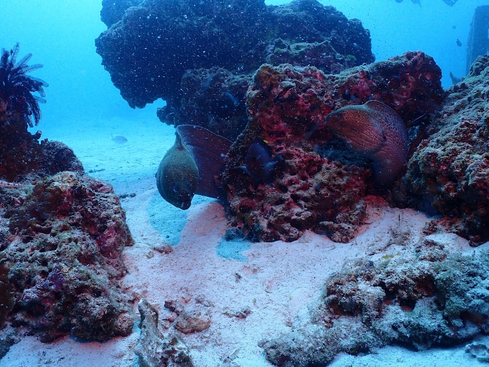 Tommys Divecenter Phuket