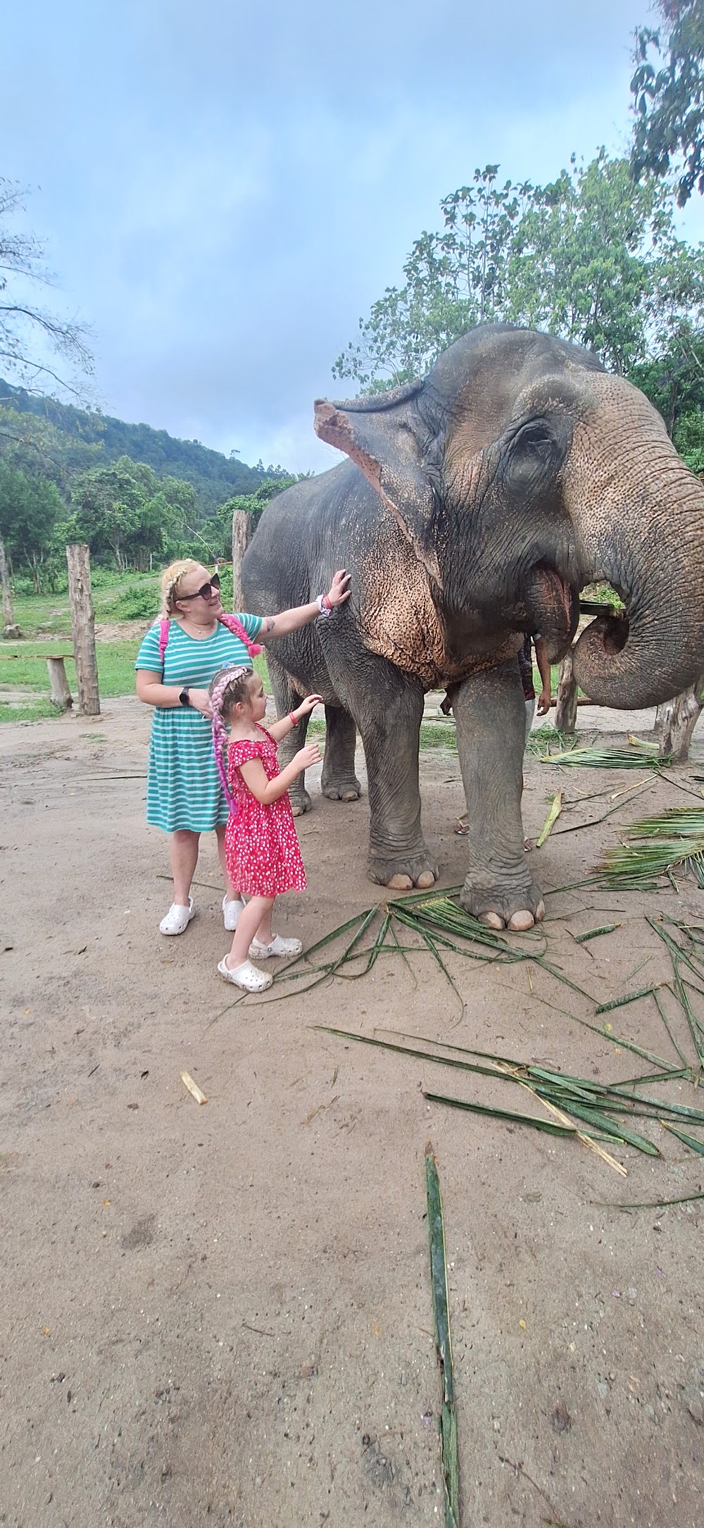 Tonsai  Elephant Care Camp Phuket